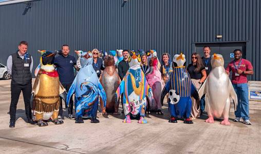 able group waddle on sea penguins