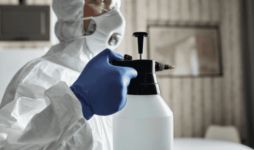 common insecticides blog banner.png