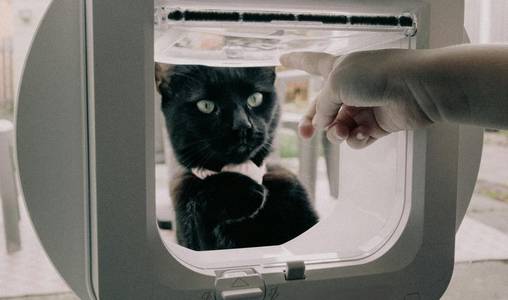 installing cat flaps in glass doors