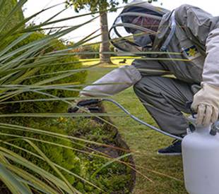 Emergency Pest Control