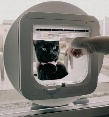 installing cat flaps in glass doors