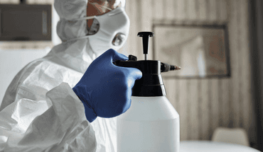 common insecticides blog banner.png