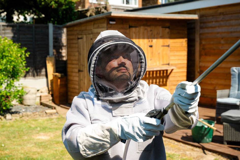 Workman Insect Pest Problems Advice | Prevention & Removal | Able Group