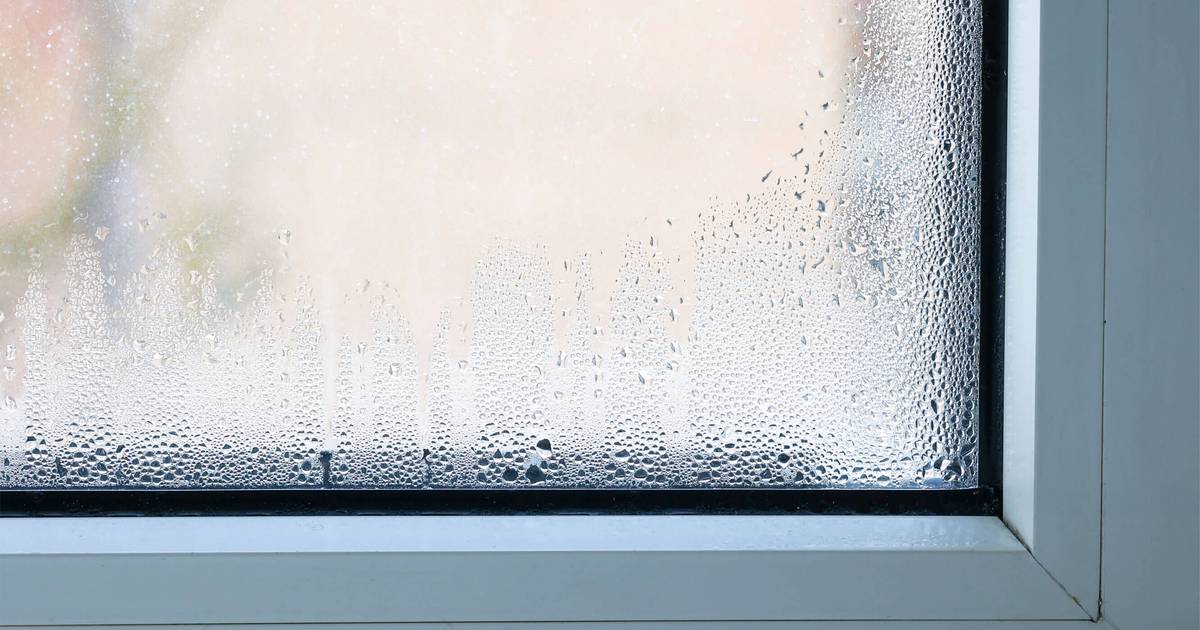 Condensation and foggy windows Able Group