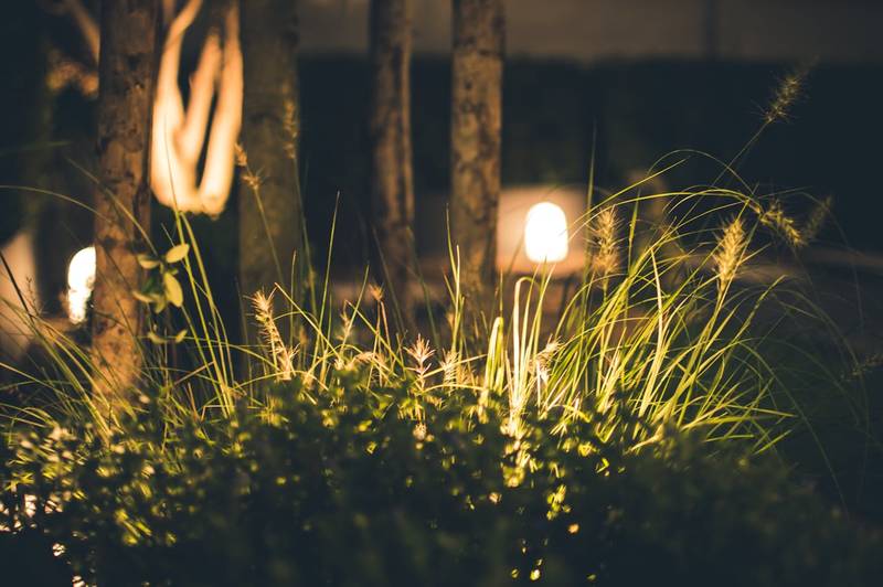 Outdoor lighting for security in Summer