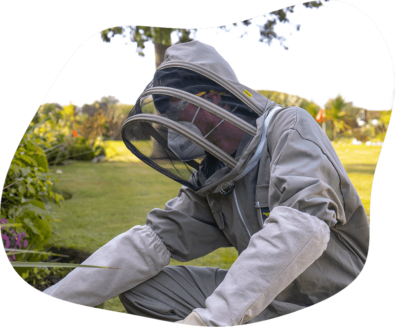 Pest Control Pest Control Near Me Able Group